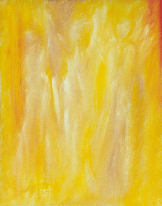 "SEEN BUT NOT SEEN" BY SHANNON GUEST